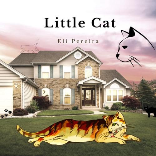 Little Cat